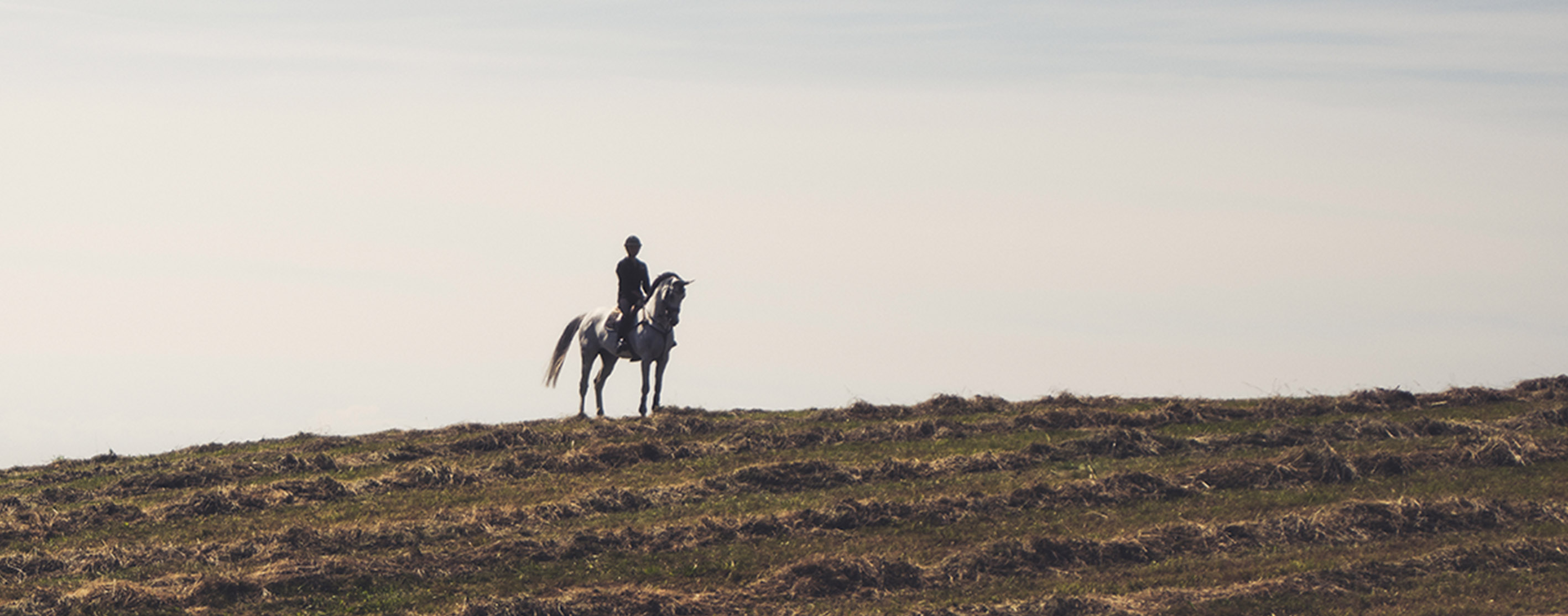 Häst och ryttare mot horisonten