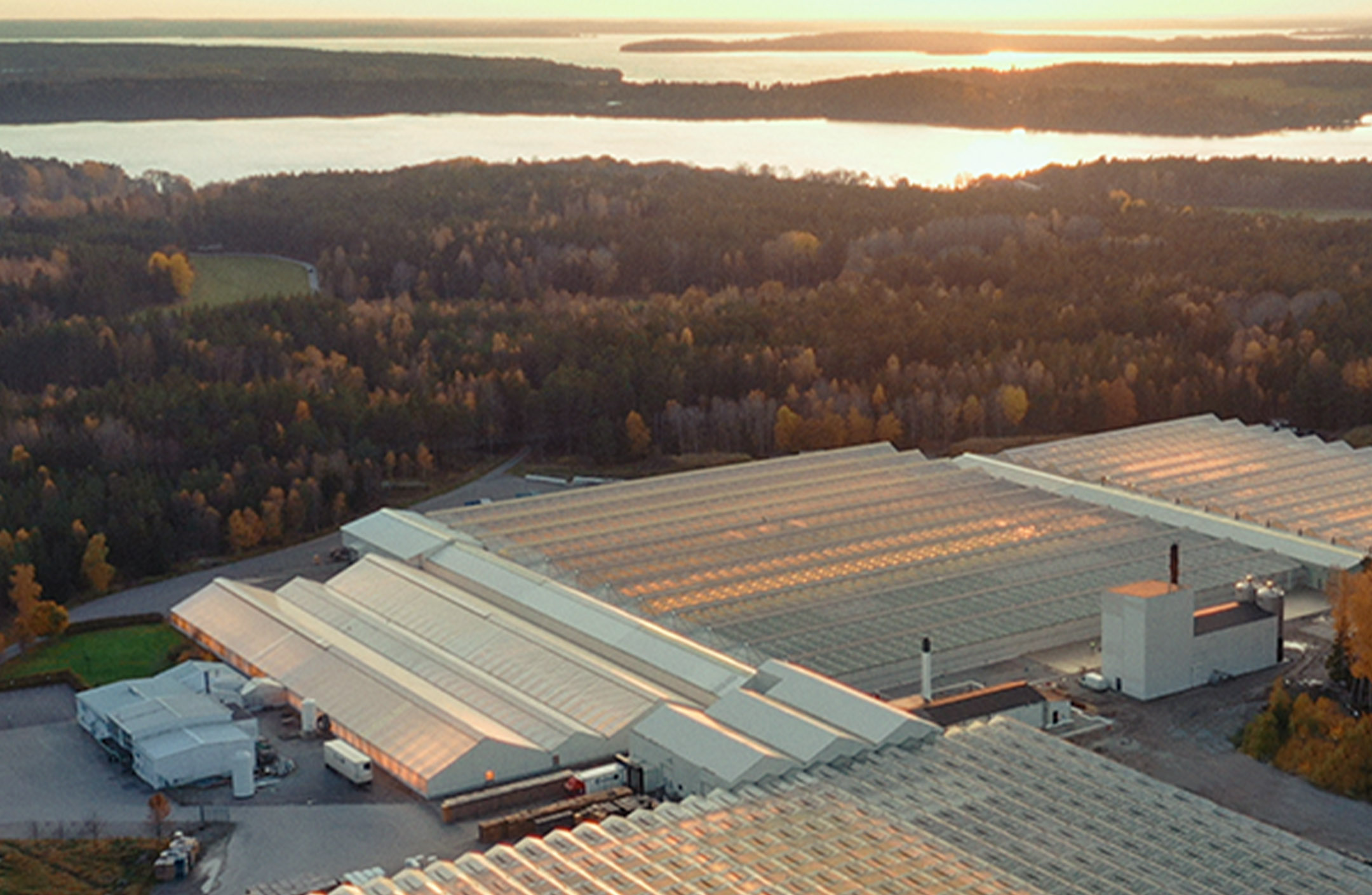 Svegro värmer med pellets från Scandbio