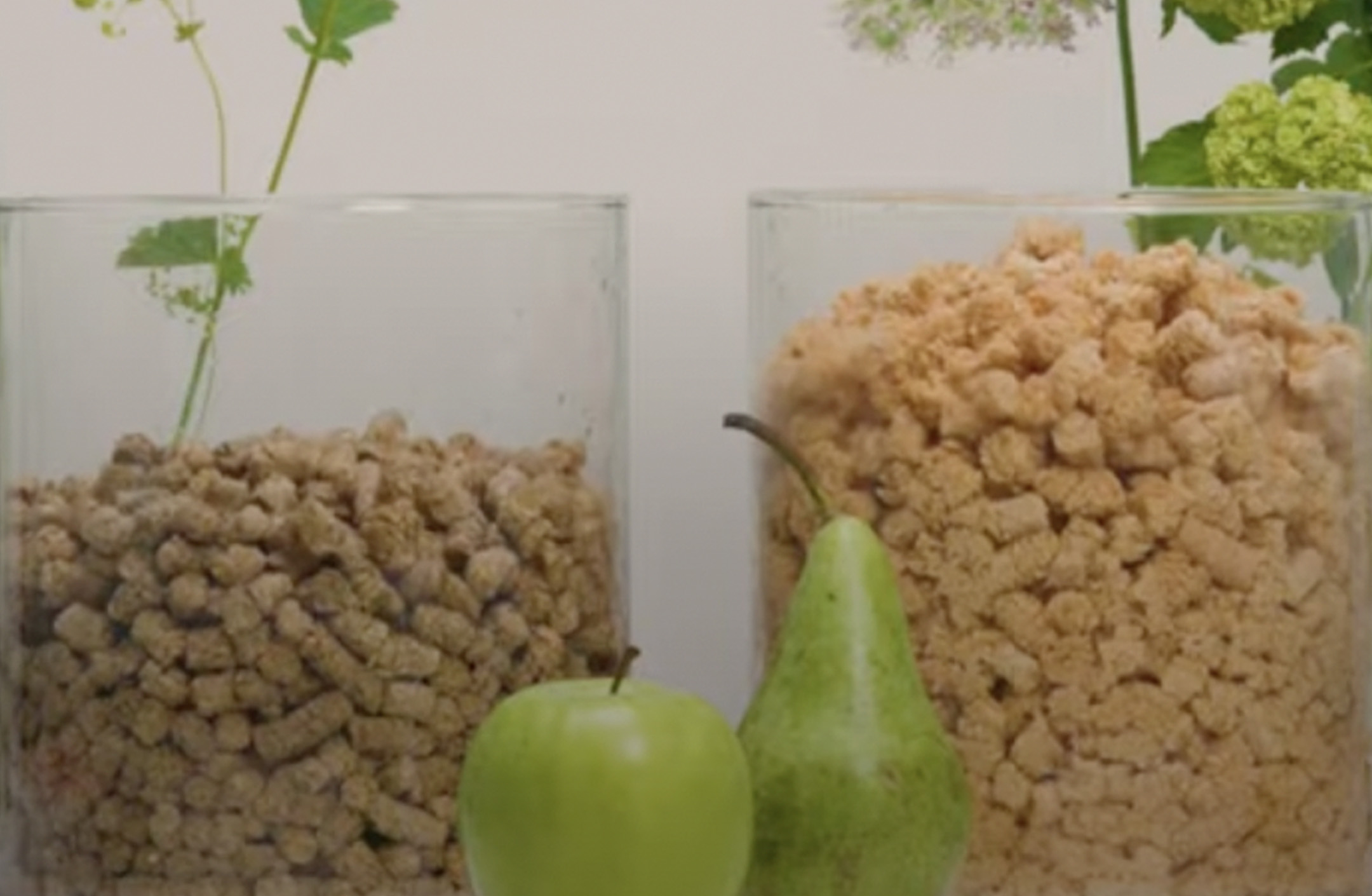 Två jämförande cylindrar med stallpellets och värmepellets